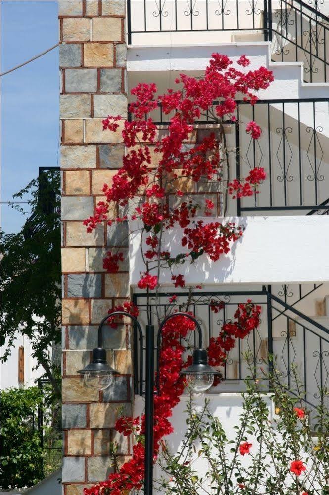 Agar Apart Hotel Gümbet Esterno foto